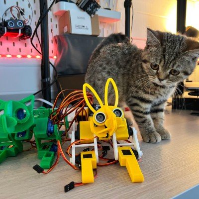 Un PicoCat avec un chaton non robotique en arrière-plan