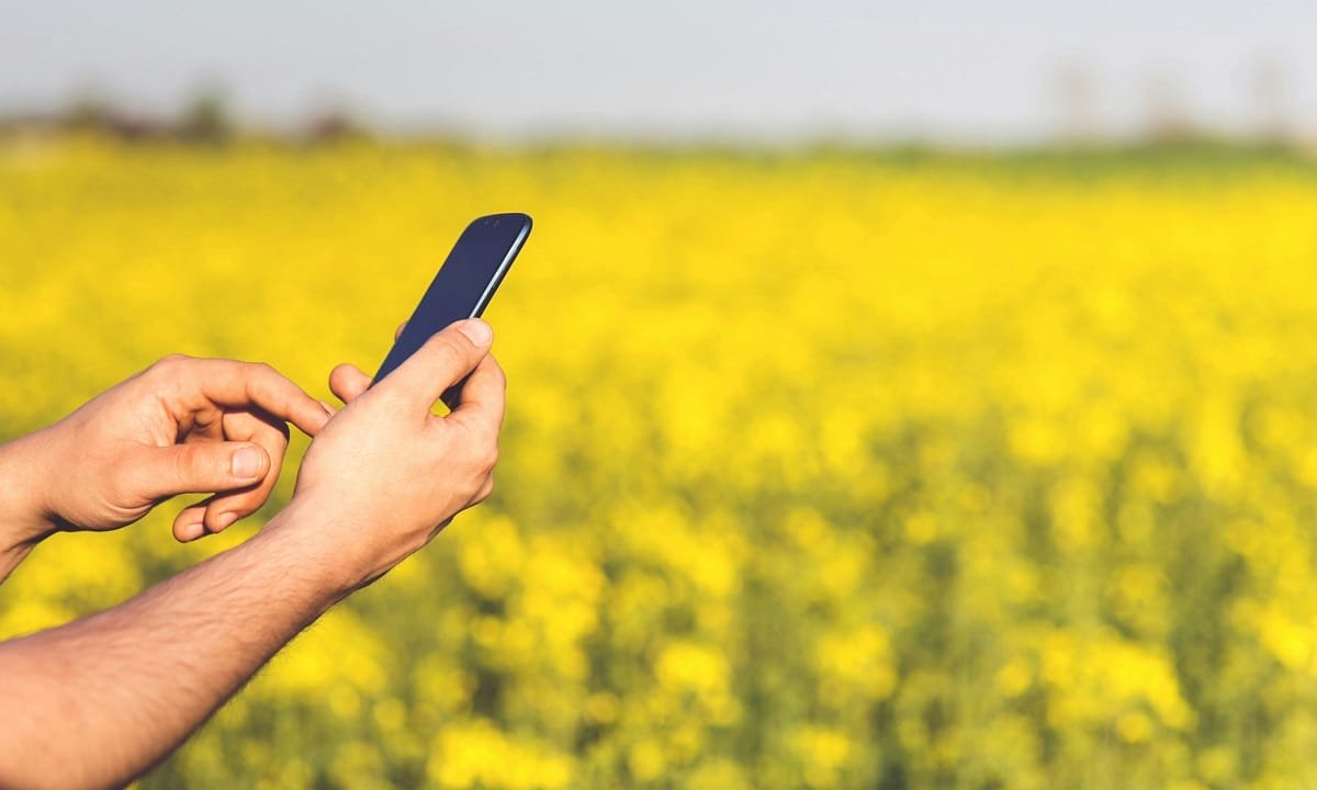 10 raisons de s'intéresser à la météo agricole