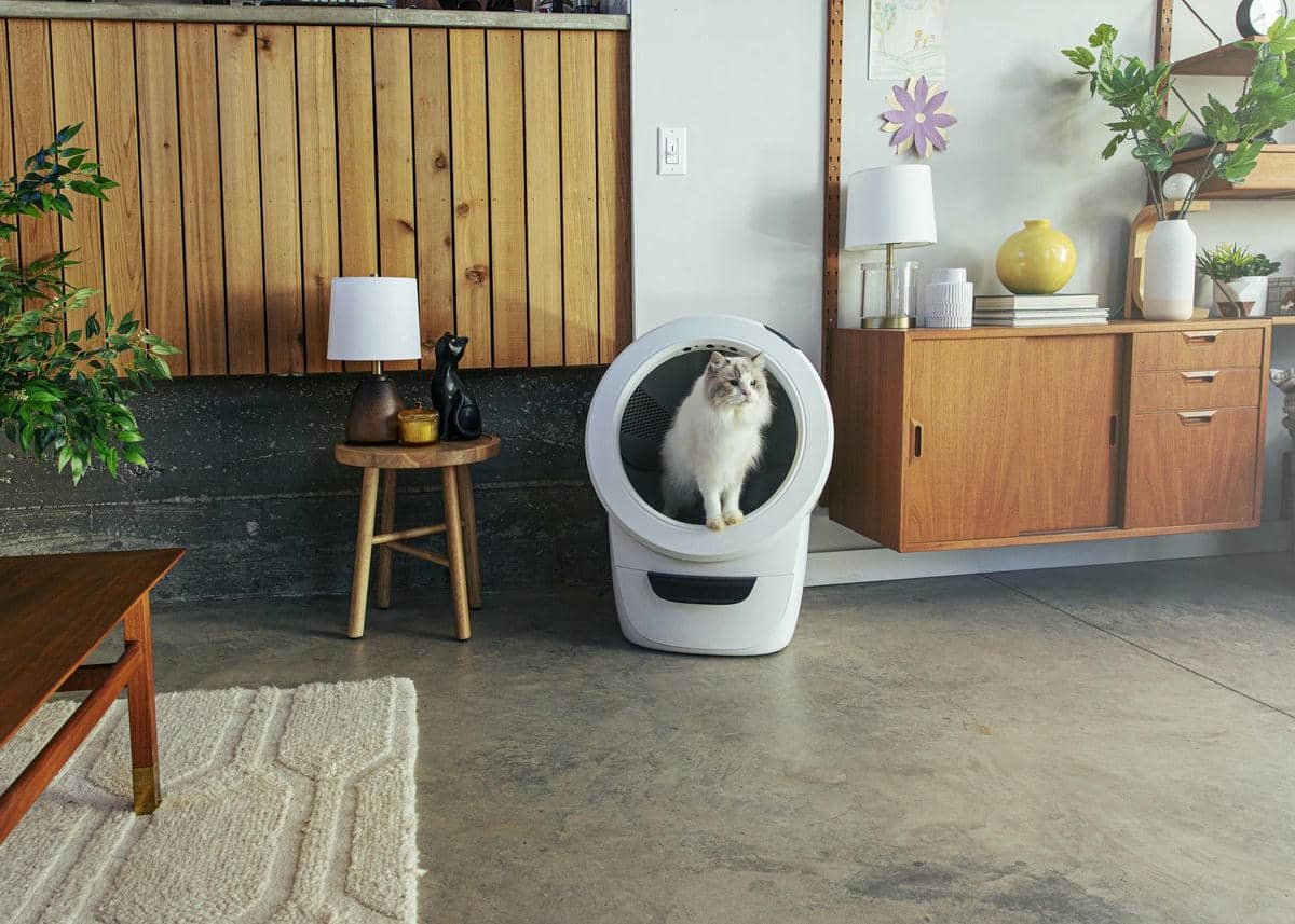 Chat debout à l'intérieur du bac à litière Whisker Litter Robot 4 placé à l'intérieur d'une maison moderne