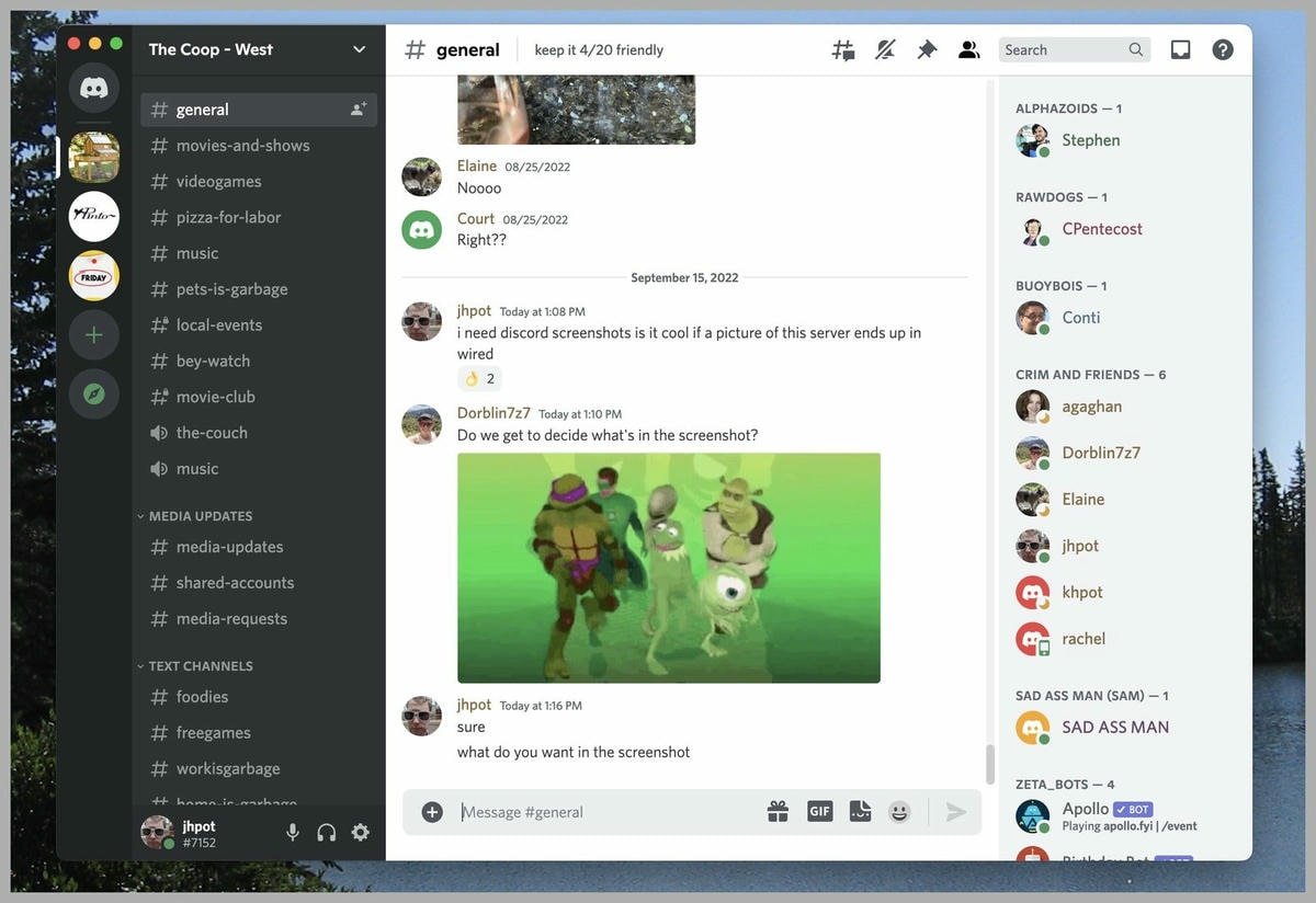 Capture d'écran de la fenêtre de discussion dans l'application Discord