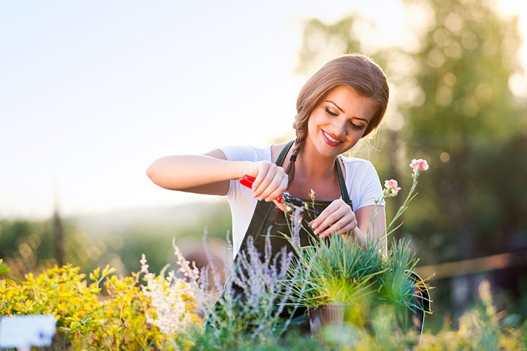 Apprivoisez votre jardin et 10 façons de réduire les allergies en cette saison pollinique