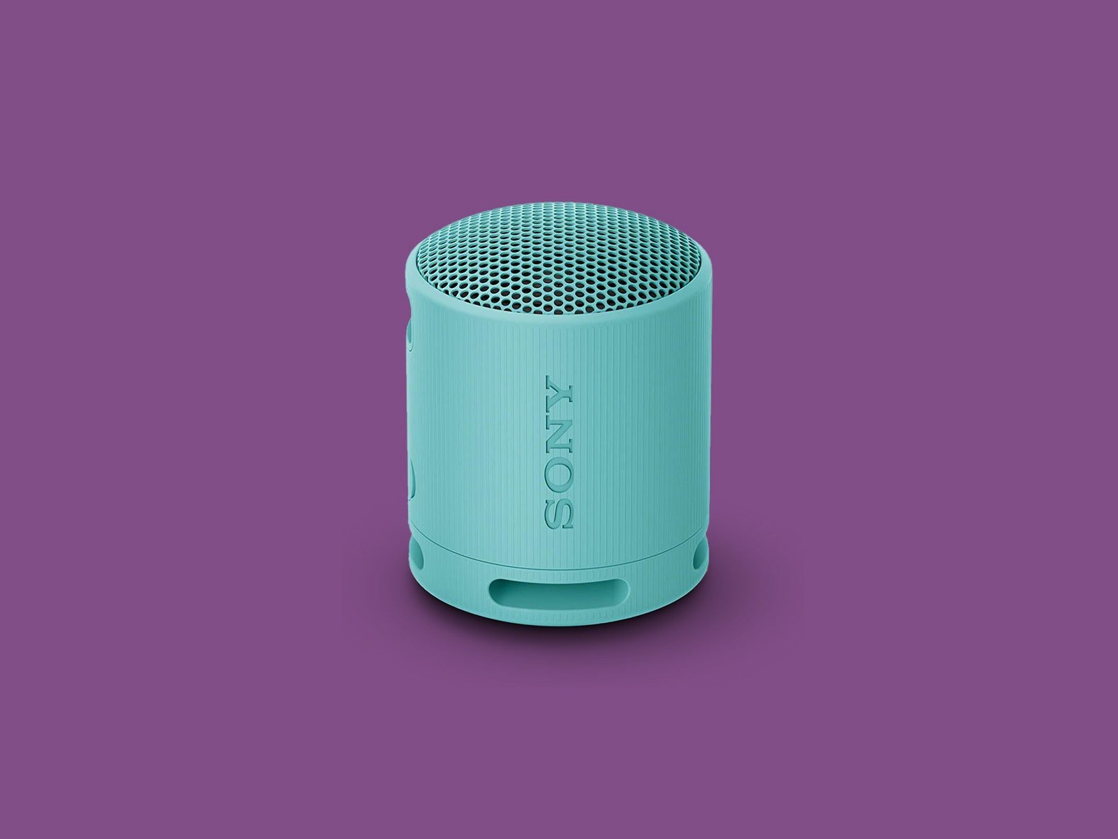 Enceinte Bluetooth Sony SRSXB1000