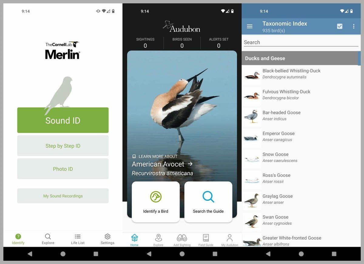 Captures d'écran des applications d'observation des oiseaux Merlin Audubon et Taxonomic Index