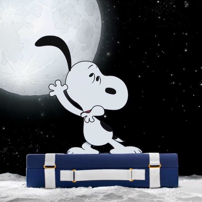 Snoopy assis sur une mallette dans l'espace