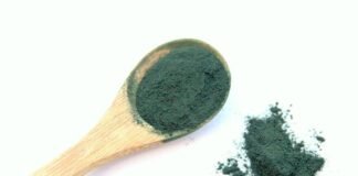 10 raisons de consommer de la spiruline