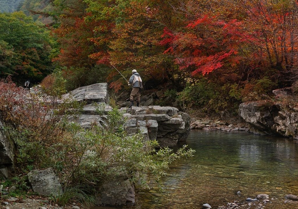 10 Raisons de Pêcher en Rivière