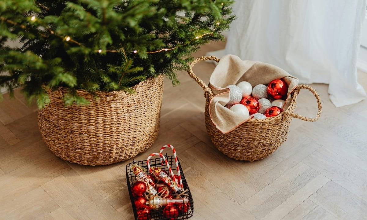 10 raisons de choisir un sapin de Noël naturel en pot