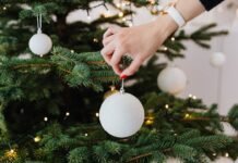 10 raisons de choisir un sapin de Noël naturel pour des fêtes authentiques et écologiques