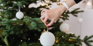 10 raisons de choisir un sapin de Noël naturel pour des fêtes authentiques et écologiques