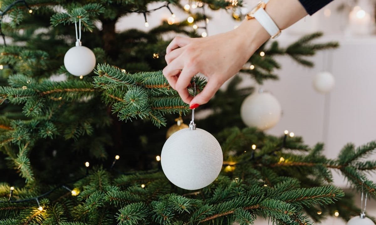 10 raisons de choisir un sapin de Noël naturel pour des fêtes authentiques et écologiques