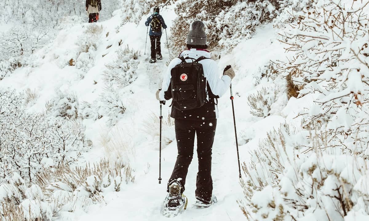 10 raisons de découvrir les raquettes à neige à Chamonix