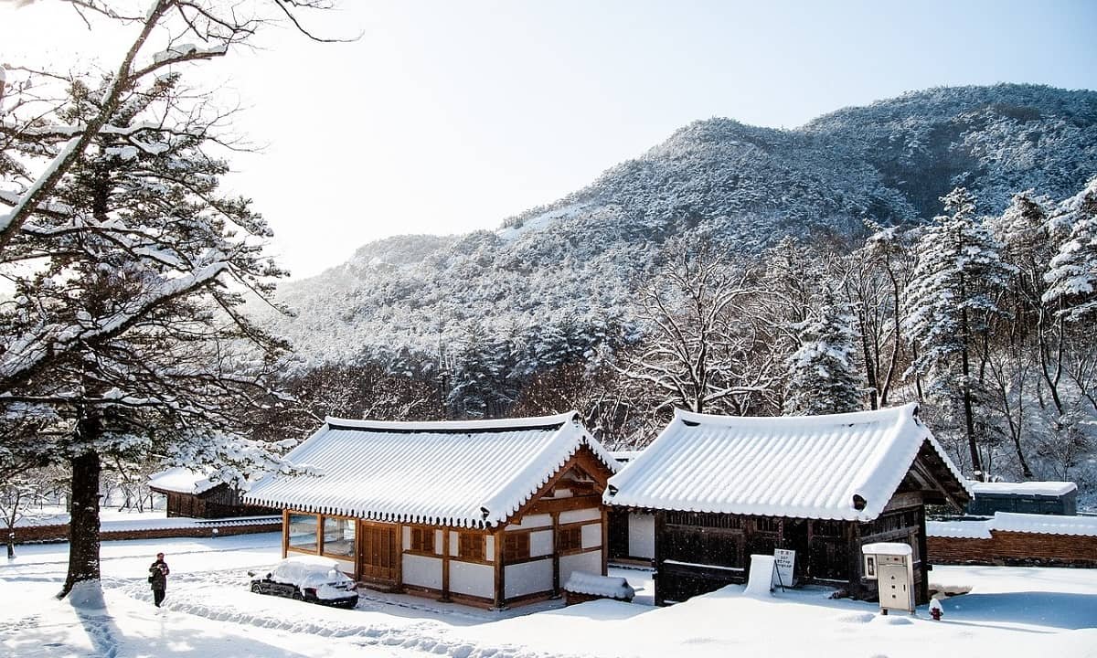 10 raisons de visiter la Corée du Sud en 10 jours