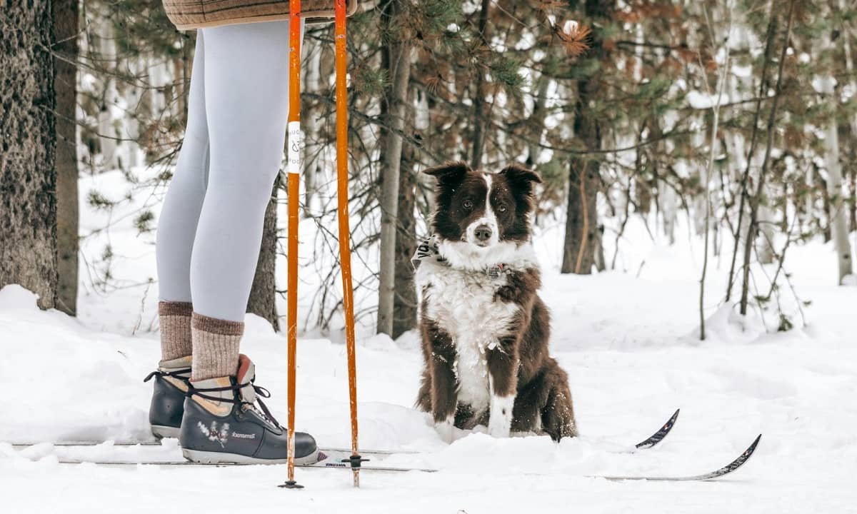 10 raisons de découvrir le ski de fond à Font-Romeu