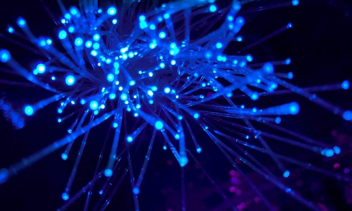 10 raisons de passer à la fibre optique en 2025