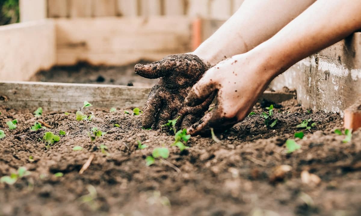 10 raisons de préparer votre jardin pour le printemps dès maintenant